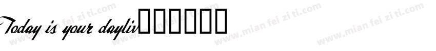 Today is your dayliv字体转换